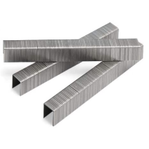 STAPLE ARROW T50 506SS1 3/8"SS