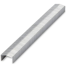 STAPLES 1/4" A19 