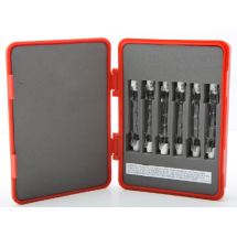 BULB HALOGEN 300w 6pk BULB BUDDY L22